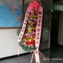 신대원약국 Daum카페