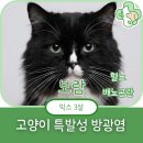 선부중앙동물의료센터 이미지