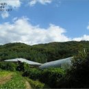 공주시탄천면대학보건진료소 이미지