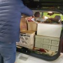 캠핑소리251 이미지