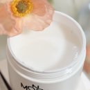 살구펫 | 고체탈취제 강아지, 화장실 냄새 싹 잡는 모노아워 펫프랜들리