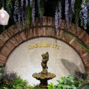 카페정원 이미지