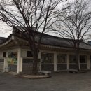 금아여행사