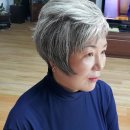 쉬크헤어샵 - 김포시 | 쉬크헤어샵