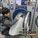 워시엔조이셀프빨래방전주 이미지
