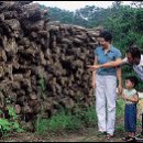 신기한농장 이미지