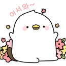 토스티로드 이미지