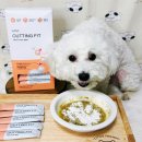 견생맛스토어 | 강아지 식탐 비만, 설채현 다이어트 영양제 커팅핏 관리 시작