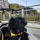 서울햇빛동물병원 이미지