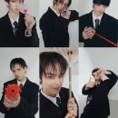 82 마이데일리