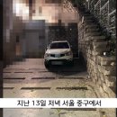 고양이가 돌을 밀어서 차 앞유리가 깨짐 이미지