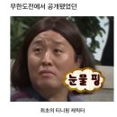 서진동물병원 | [신림/서진동물병원]암컷 고양이 시로 중성화 수술 대작전 🙀