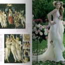 에이메드 이미지