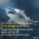 이상한나라의수족관