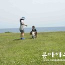 꼭지목장 이미지