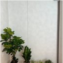 레몬하우스 | 목동 아파트 인테리어 고민하다 레몬하우스 목동점 직접 다녀와 본 후기, 방향 정리에 꽤 도움이 됐어요