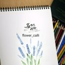 [3분기] 캘리그라피&수채 일러스트 이미지