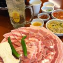 [대전] 행운 대전월평점 :: 대전 야장느낌 신상맛집 회식맛집