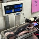 강북민물장어 - 의정부시 | 남양주 별내] 탱글탱글한 장어와 맛있는 밑반찬 '강북민물장어' 내돈내산 솔직 후기(지역화폐 가능)[추천]