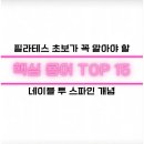 톡투필라테스 | 필라테스 초보가 꼭 알아야 할 핵심 용어 TOP 15 - 네이블 투 스파인 개념 및 솔직 후기!!!