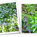 황점주차장 이미지