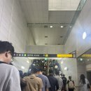 챔피온카서비스 | 테야테야 갈테야 제주도에 갈테야