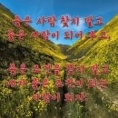 좋은 사람이 되자 ㅡ 아름다운 진해길 Boeves Psalm / Janne Lucas 이미지