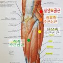 테크노도담한의원 이미지