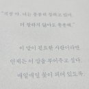된다그래 | 나민애 『반짝이지 않아도 사랑이 된다』 솔직 후기 자존감이 흔들릴 때 읽기 좋은 책 추천
