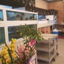 바다바라기 이미지