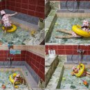 온천단지 가로수길 이미지