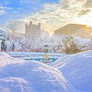 경희대학교 이미지