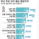 부산 서면 범일역 신화하니엘 팔라시오 소형아파트 즉시입주 투자 이미지