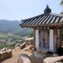 바닷가숲속