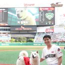 강비