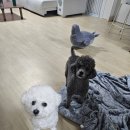 부성파인하버뷰 | 방음이 전혀 안된다고 의뢰해 주셨네요(경기도 시흥시 월곶동 부성파인하버뷰아파트 현관문 방음재 시공)