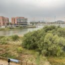 스타벅스천안업성레이크점 | [성성동 카페] 성성호수공원 호수뷰 카페 스타벅스 천안업성레이크점