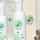 씻겨줄개 이미지