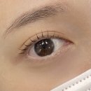더펌 이미지