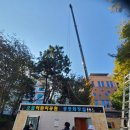 쌍촌동 오월어린이공원 이미지