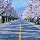 전망좋은곳 이미지