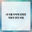 붕붕타이어모터스 | 내 차를 부탁해! 현명한 자동차 관리 비법
