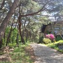 숙호산 등산로 화장실 2 | [ 경남 창녕 ] 화왕산 자하곡 2등산로 - 정상 - 3등산로 원점회귀 후기