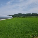 경북영농 티스토리