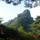 삼명약국 이미지