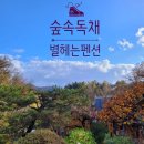 온누리 펜션 네이버블로그