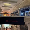 미래타워 | 롯데시네마 월드타워점 슈퍼플렉스 내돈내산 후기