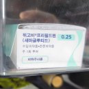 별약국 | [내돈내산] 평택 고덕동 위고비 1~2일차 후기