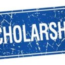 생생 기초 영문법 이미지