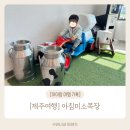 미소목장 | [제주여행] 아이랑 제주도 여행 가볼만한 곳 목장체험 아침미소목장 내돈내산 방문후기